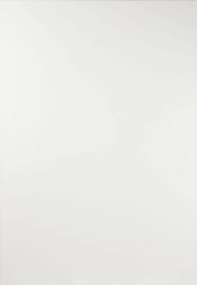 Classic White kitchen door