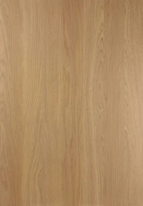 Classic Oak kitchen door