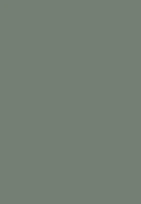 Victoria Reed Green kitchen door